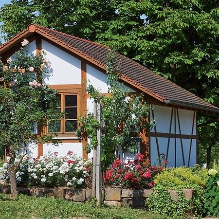 Winzerhof Woerner Apartment Durbach Exterior photo